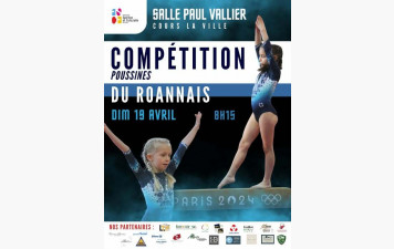 COMITE DU ROANNAIS MATCH RETOUR POUSSINS A COURS